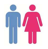 Female and Male Icon